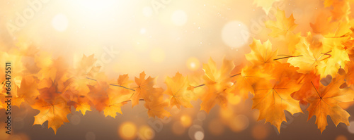 Autumn maple leaves decorative composition with copyspace © Adrian Grosu