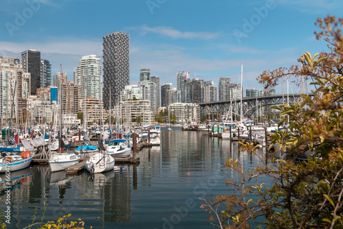 Yacht harbor of Vancouver on a sunny summers day