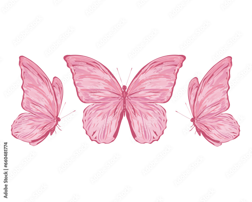 butterfly isolated on white butterfly isolated on white