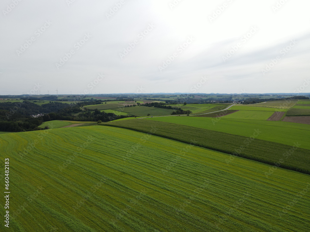 Aerial view of harvested and mowed agriculture fields in the countryside 