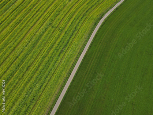 Drone view of a road between green agriculture fields in the countryside 