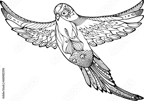 budgerigar flying pose, parrot, bird consisting of patterns and lines, coloring book for adults and children, black and white vector,