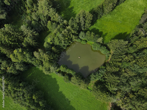 View from above of a forest with a pond in the middle 