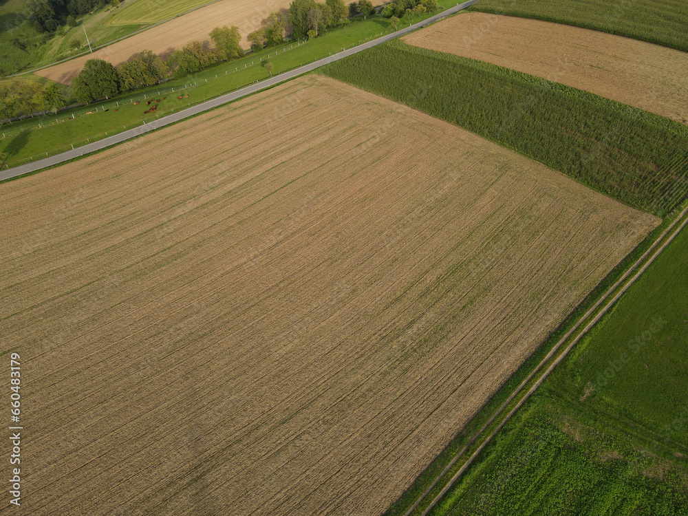 Aerial view of agricultural fields in the countryside 