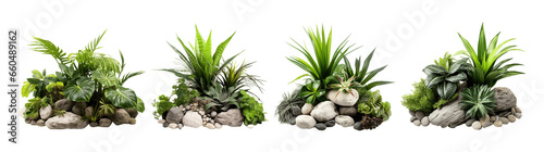 Collection of set Tropical bush with decorative stones, floral arrangement in garden's natural design isolated on transparent background. PNG file, cut out