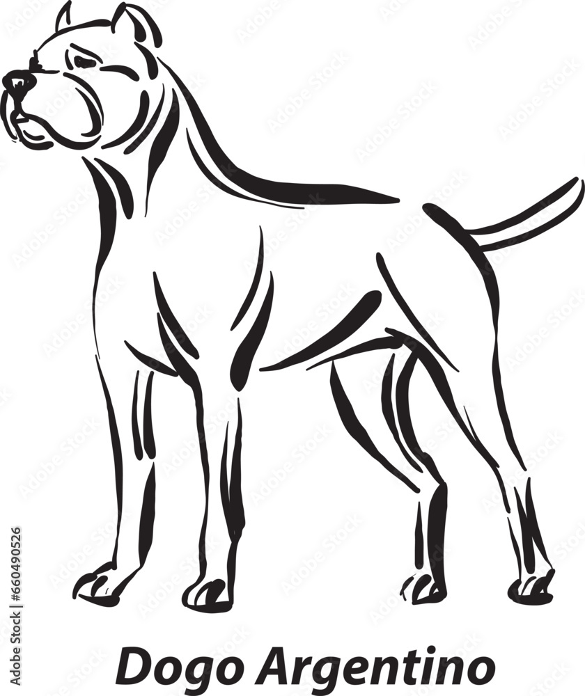 Black And White Dogs Dogo Argentino Breed Design Line Art Most Popular black-and-white-dogs-dogo-argentino-breed-design-line-art-most-popular