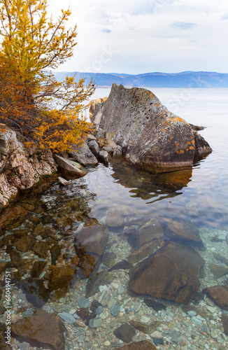 Baikal Lake on October. Olkhon Island. Beautiful autumn landscape with yellowed larch trees on rocky beach of Small Sea and clear transparent water. Natural background. Travel and outdoor recreation
