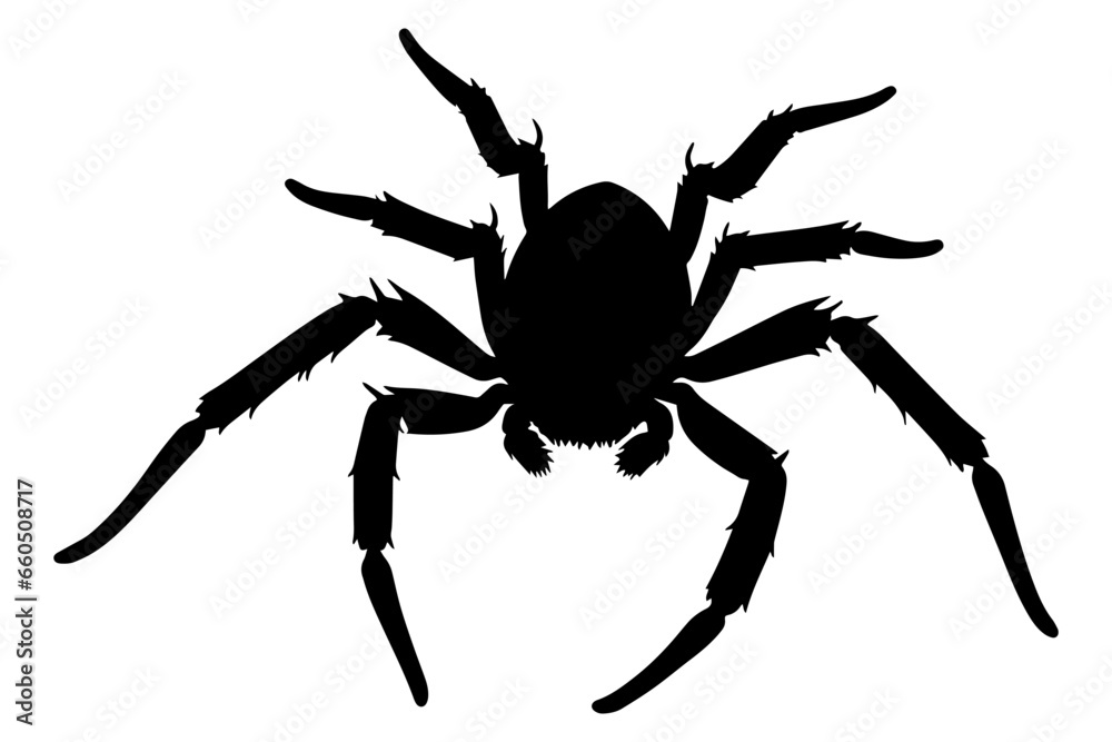 Scary spider silhouette. vector illustration Scary spider silhouette. vector illustration