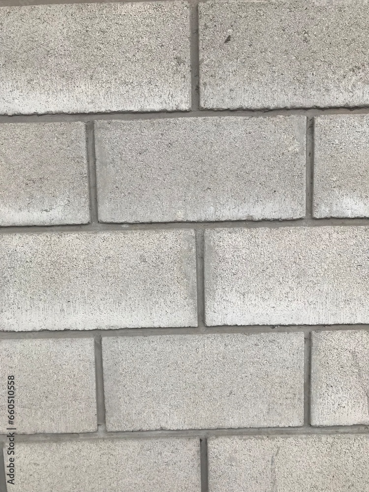 Fototapeta premium Trama de una pared de bloques de hormigón