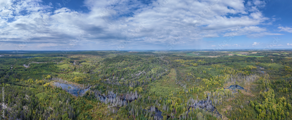 Canadian Aerial Landscape With Forest And Sand P{its