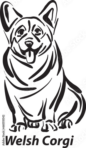 black and white dogs Corgi breed design line art most popular brush stroke freehand draw vector illustration