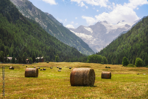 Round bales in Prati di Sant'Orso and the Gran Paradiso mountain in the background. Cogne, Aosta Valley