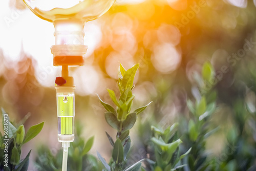 Natural leave green set vitamin iv drip treatment.