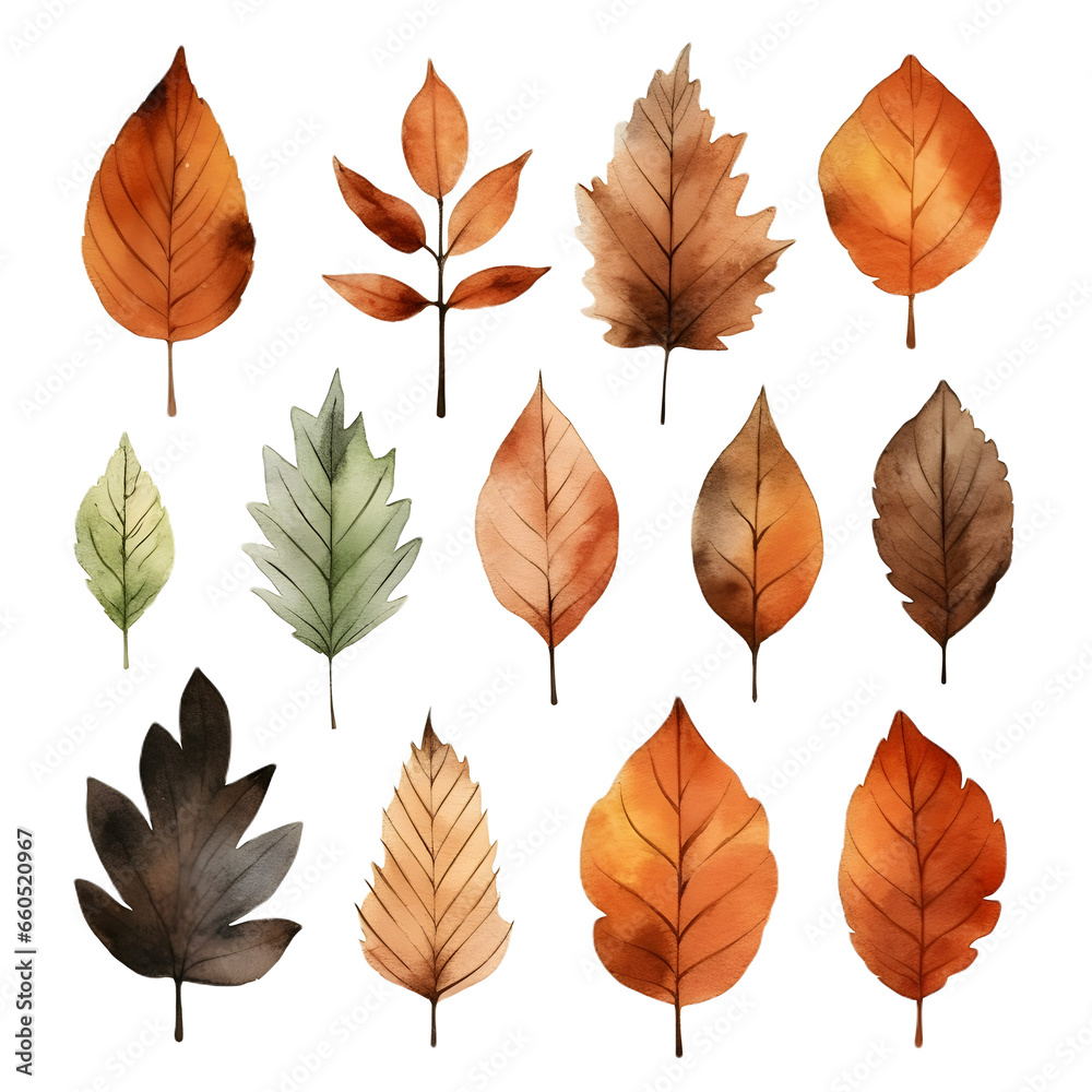 Set of leaves autumn watercolor