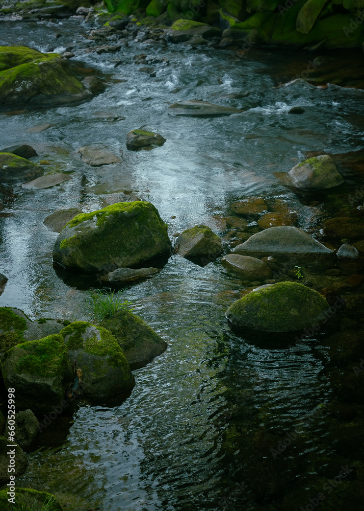 Rio na floresta Rio na floresta