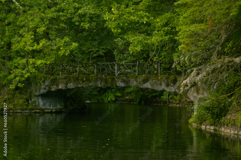 Fototapeta premium Ponte romântica sobre a lagoa na floresta