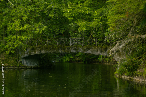Ponte romântica sobre a lagoa na floresta