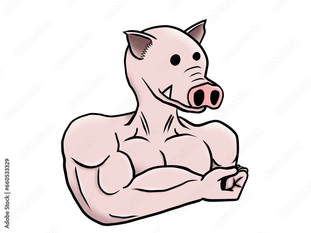 Pig muscular