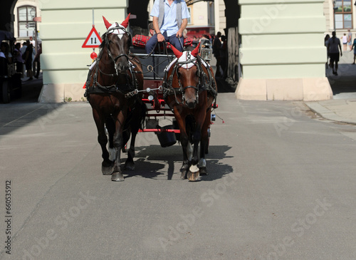 horses pull the carriage and the coachman with tourists around the city streets