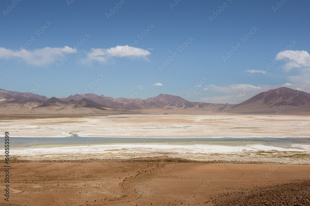 desierto de atacama llamas flora humedales dinosaurios desierto de atacama llamas flora humedales dinosaurios