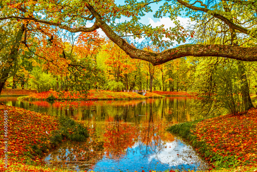 Colorful autumn park on a sunny day. Beautiful autumn landscape with yellow and red trees. Colorful autumn park on a sunny day. Beautiful autumn landscape with yellow and red trees.