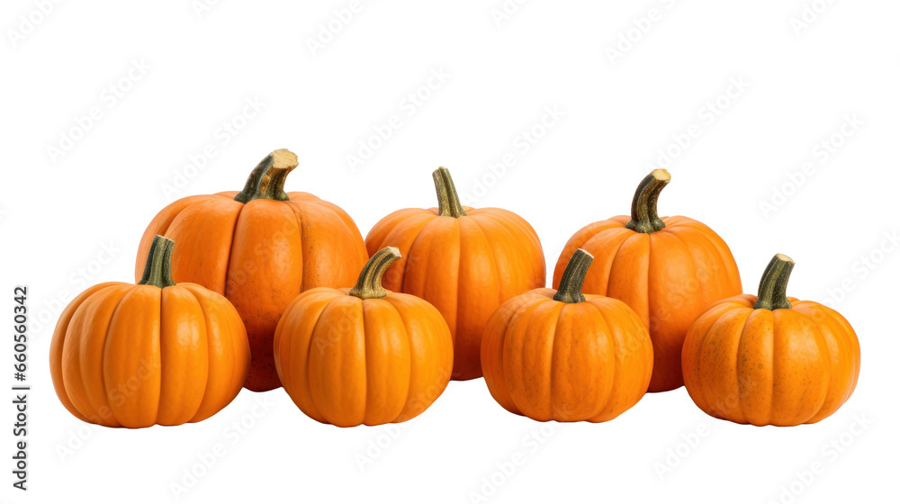 Pumpkins on transparent background