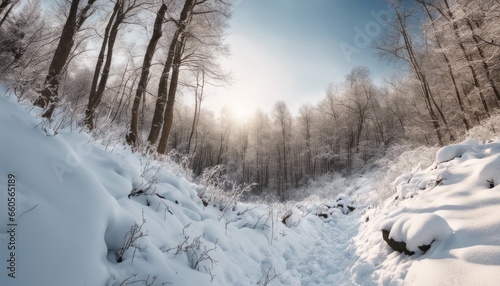 A winter hike through a snow-covered forest with open sky space for an adventurous quote or message. © Max