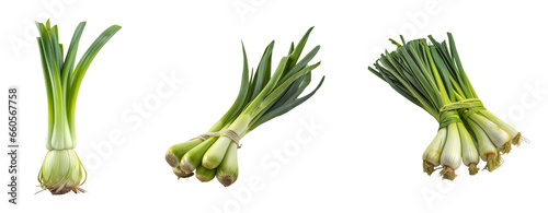 Set of leeks vegetable isolated on a transparent background. Concept of food.