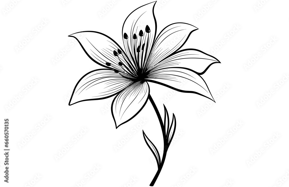 Line art vanilla flower illustration, Vanilla flower sketch ink vector illustration.