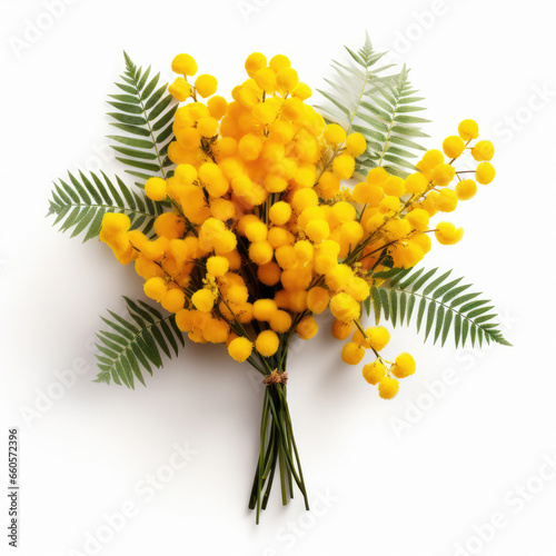 Bouquet of mimosa flowers on a white background