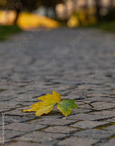 AUTUNO  STAGIONE MACRO 