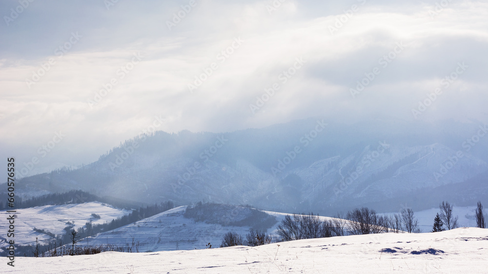 mountainous carpathian countryside in winter. rolling landscape with snow covered hills. misty weather with clouds above the ridge