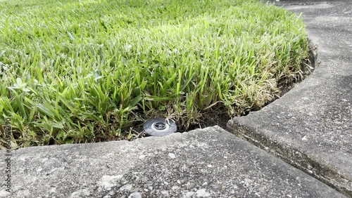 A sprinkler head from a sprinkler system pops up to begin watering a yard.