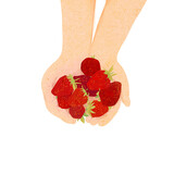 Ilustracja czerwone truskawki trzymane w dłoniach białe tło.