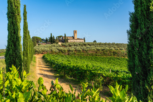 The monastery of Monte Oliveto Minore, near San Giminiano, on sunny summer afternoon. Province of Siena, Tuscany, Italy. photo