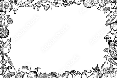 Autumn border of vegetables. Vector illustration. Hand drawn harvest frame on white background.