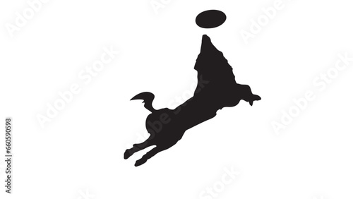 chien qui saute sur un frisbee