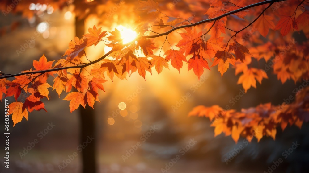 Sunrays over colorful autumn leaves created with Generative AI