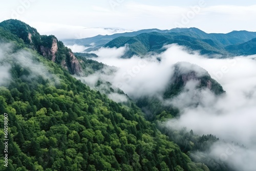 A View Of A Mountain Covered In Clouds And Trees