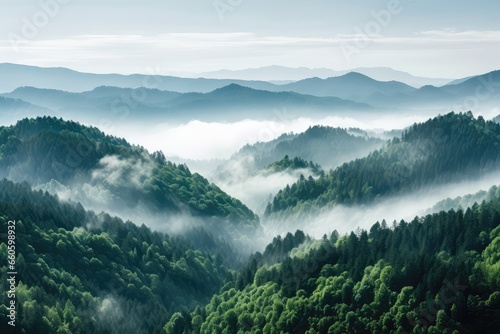 View From Height Of Mountain Peak Adorned With Green Trees In The Fog