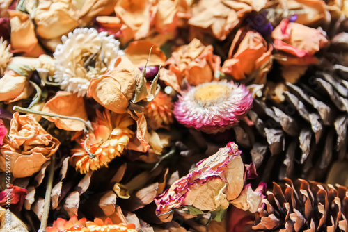 Dried flowers and petals. Floral decor.