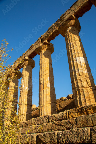 Ruins in Temple Valley