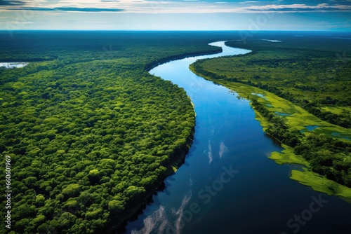 Aerial View Of The River And The Jungle Forest