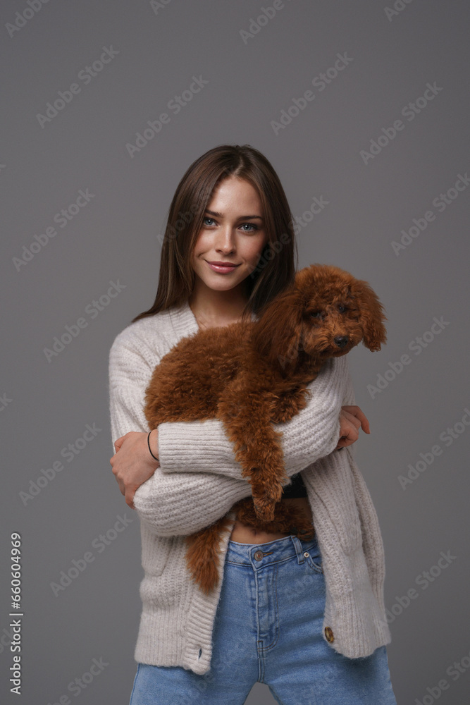 Charming girl in a white sweater holding her beloved brown toy poodle against a gray studio backdrop Charming girl in a white sweater holding her beloved brown toy poodle against a gray studio backdrop