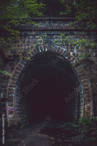 A tunnel hidden in the forest