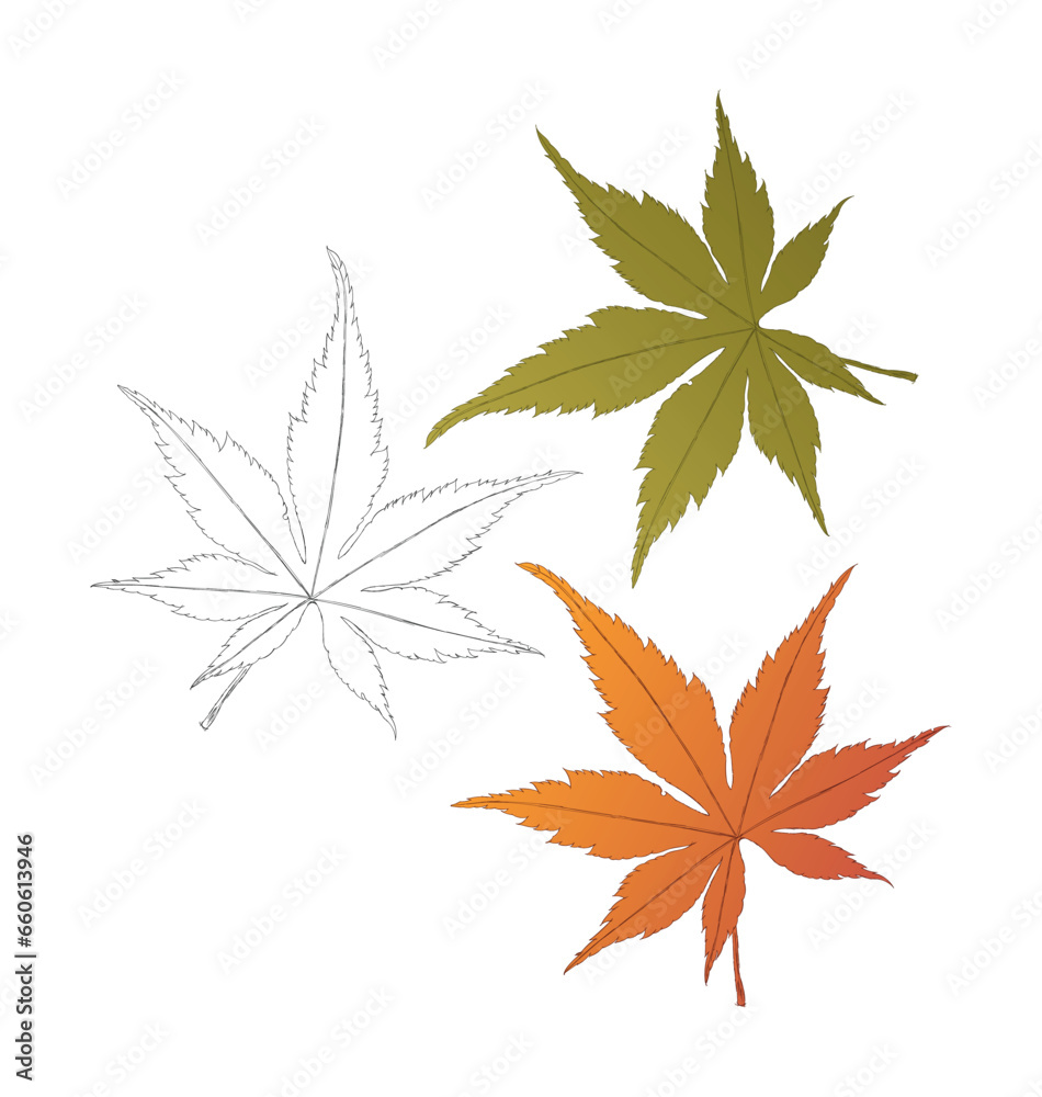 hand drawn leaves. scratched green, yellowed leaves hand drawn leaves. scratched green, yellowed leaves