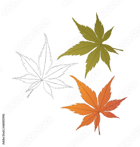 hand drawn leaves. scratched green, yellowed leaves
