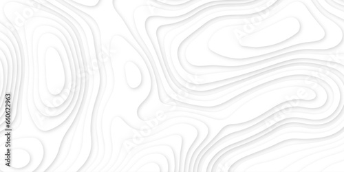 Abstract background texture and papercut and multi layer cutout geometric pattern on vector . pattern of white wooden abstract Map mockup infographics.