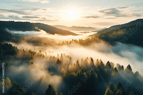 Aerial view landscape of Misty foggy mountain hills and forest, Beautiful fresh green natural scenery of hilltop, relax time with greenery tree in the morning. © TANATPON