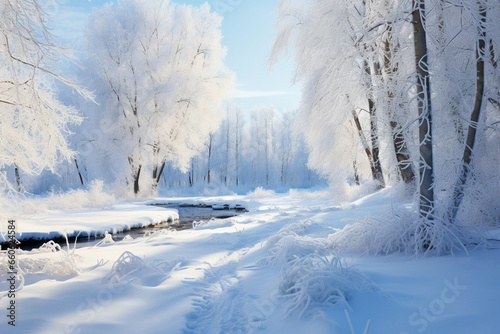 snow covered trees © Awais